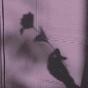 无节操俱乐部第一季未删减
